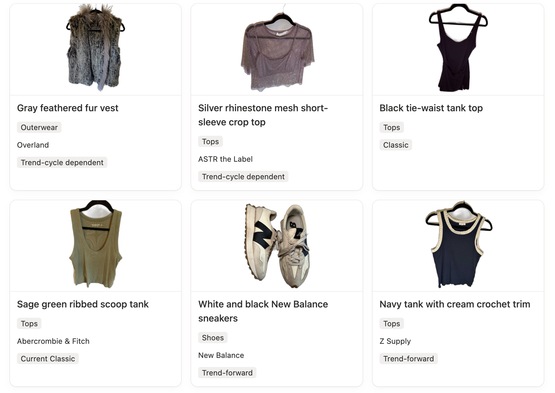 A digital wardrobe in Notion, with each garment photographed and tagged