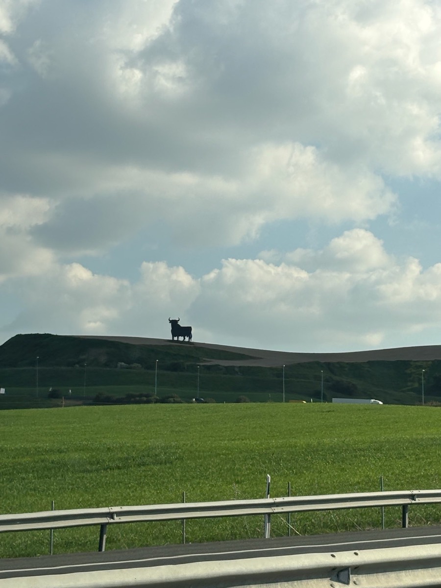I’m sure this giant bull statue on the hill has something to do with a nearby breeding farm for bullfighting!