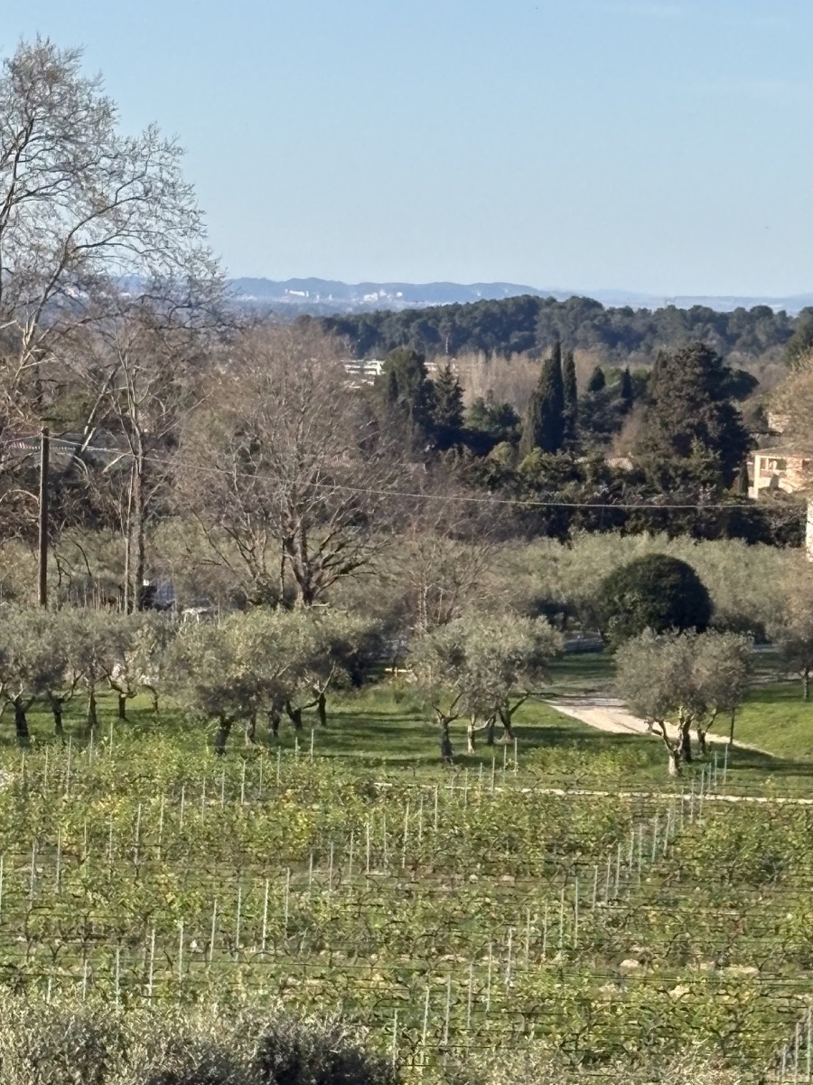 Cluster of white buildings in the distance comprises the papal palace