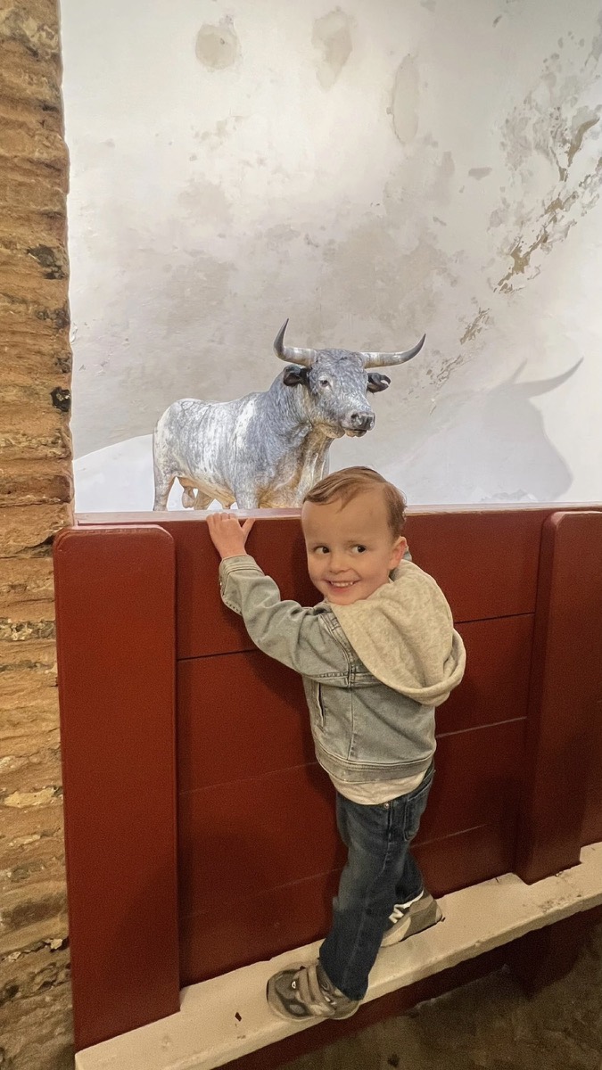 Muira bull
